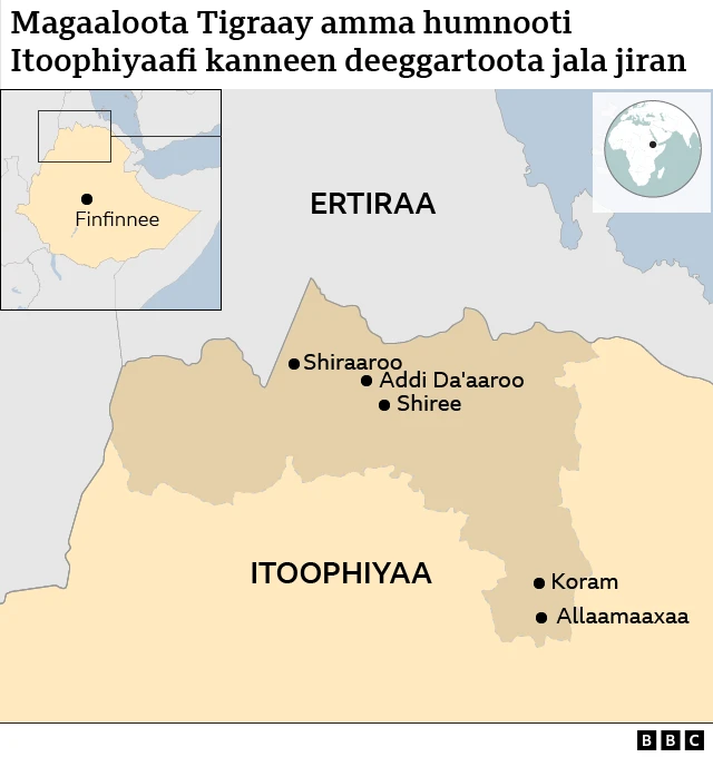 Magaaloota Tigraay mootummaan to'ataman