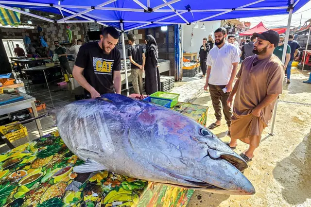 Tuunaan guddaan kun qurxummii Jimaata darbe gabaa magaalaa guddoo Liibiyaa Tiripoolii keessatti gurguramaa ture keessaa tokkodha.
