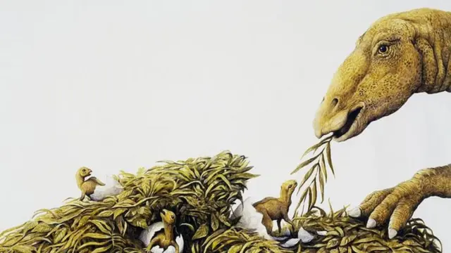 Чөп менен азыктанган динозаврларга изилдөөчүлөр майазавр деген атты берген. Бул “жакшы эне” деген маанини билдирет