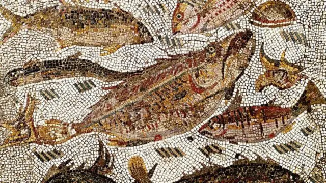 Ochiq qinning yaqindan korinishi