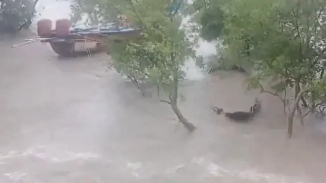 ঘূর্ণিঝড় 'দানা'র ল্যান্ডফলের কারণে ওড়িশাতেই বেশি ক্ষয়ক্ষতির আশঙ্কা আগে থেকেই ছিল।