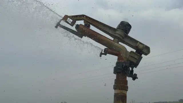 ਰੇਨ ਵਾਟਰ 