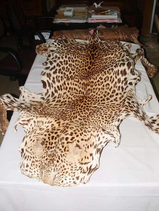 1979 මැයි මස 04 වන දින ශ්‍රි ලංකාව වඳ වී යාමේ තර්ජනයට ලක්ව ඇති වන සතුන් සහ පැළෑටිවල ජාත්‍යන්තර වෙළඳාම පිළිබඳ අන්තර්ජාතික සම්මුතිය හෙවත් සයිටීස් (CITES) සම්මුතියට එකඟ විය. 