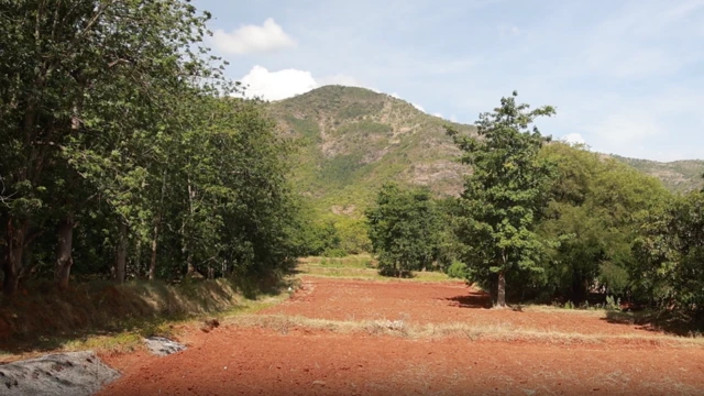 மேகமலை கிராமங்கள், உச்சநீதிமன்றம், தேனி, ஸ்ரீவில்லிபுத்தூர் மேகமலை புலிகள் காப்பகம்