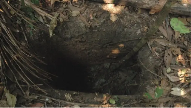 On pense qu'il a creusé des trous dans la jungle pour chasser.