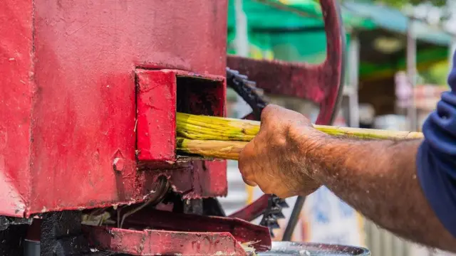 Imagem mostra close em mão masculina colocando cana-de-açúcar em uma máquina de processamento