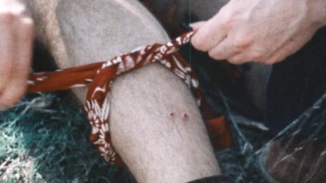 வலிப்பு, பாம்புக்கடி, புற்றுநோய், திரைப்படங்கள், உடல்நலன், மூடநம்பிக்கை, சமூகம்