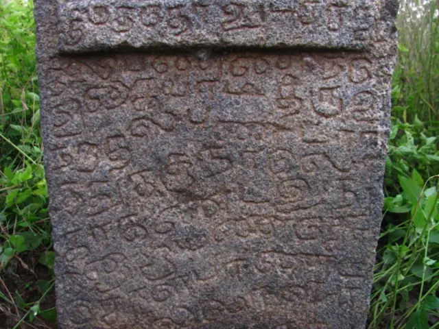 மூக்கறுப்பு போர்