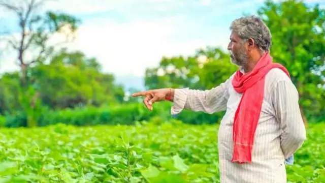 प्रातिनिधिक फोटो