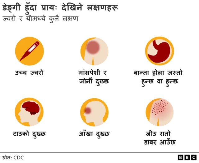डेङ्गीका मुख्य छ लक्षण