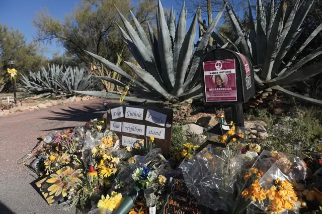 Кактусы, возле которых сложены цветы и плакаты