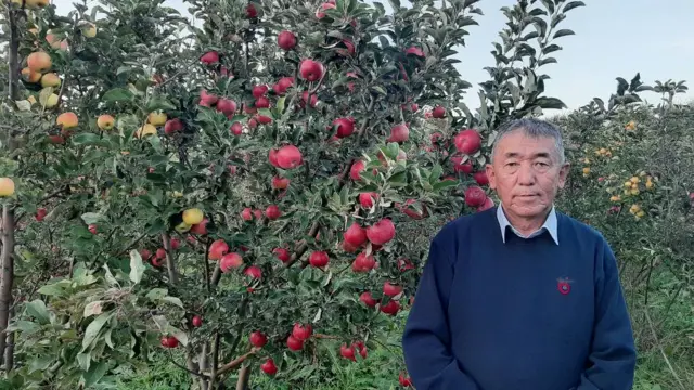 Манас Саматов, фермер 