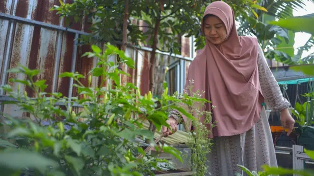 Dewi Apriyani memutuskan menjadi petani dengan metode pertanian terintegrasi.