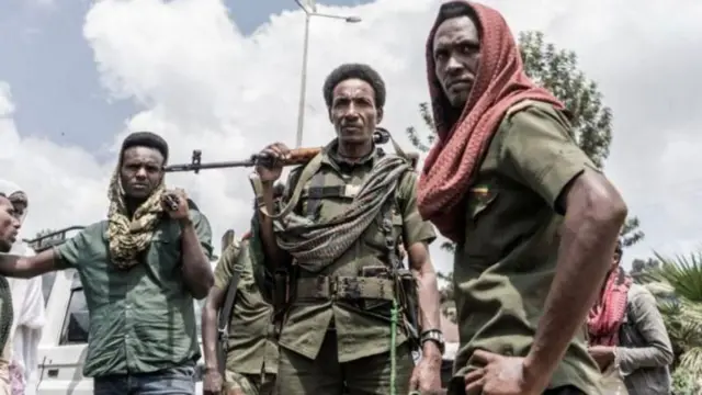 ኣባላት ፋኖ