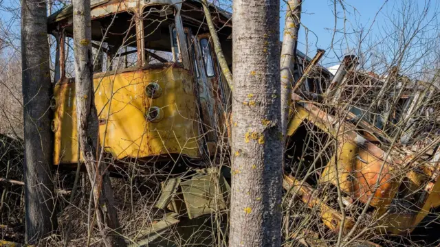 Vehículos en un bosque de Chernóbil. 