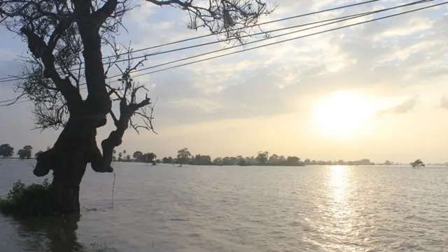 அம்பாறை மாவட்டத்தைப் புரட்டிப் போட்டுள்ள வெள்ளம்