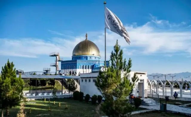 तालिबान-सीरिया