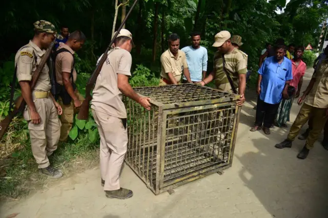 प्रातिनिधिक फोटो