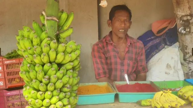 విశాఖలో చెట్ల నరివేత 