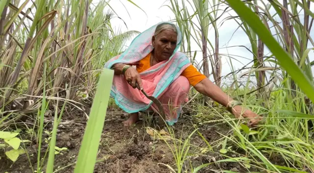 सासरच्या लोकांविरोधात कोर्टात लढून अक्काताईंनी पावणे-दोन एकर शेतावर ताबा मिळवला आहे.