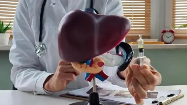 ਲਿਵਰ ਦੀ ਸੰਕੇਤਕ ਤਸਵੀਰ