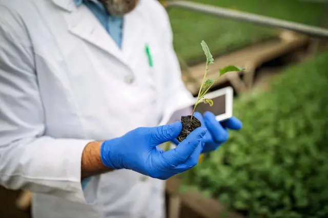  ਫ਼ਸਲ ਪ੍ਰਜਨਨ