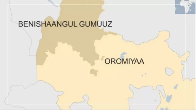 Danaa Beenishaangul Gumuz, Godina Kamaashii