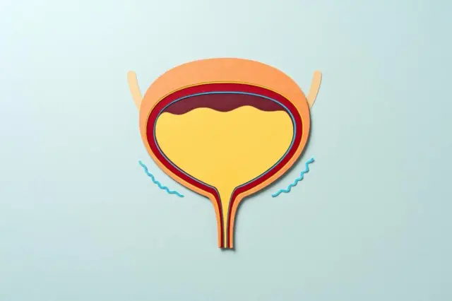 சிறுநீர் கழித்த பிறகு கடைசியில் சொட்டுசொட்டாக நீர் வெளியேறுகிறதா? பிரச்னையும் எளிய தீர்வும்