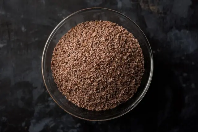 ఇసబ్‌గోల్ 