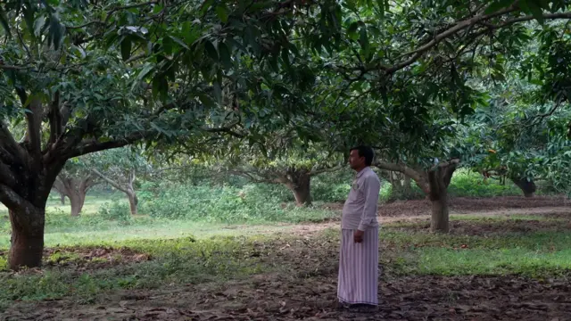 आम के बाग में मोहम्मद अजमत