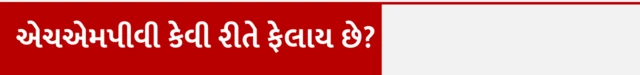 એચએમપીવી, HMPV. વાઇરસ, ચીન, ભારત, સ્વાસ્થ્ય, બીબીસી ગુજરાતી 