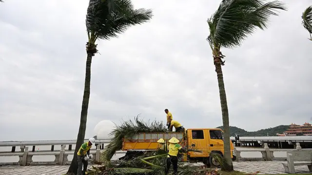 Unos trabajadores retiran ramas caídas mientras el viento azota fuerte. 