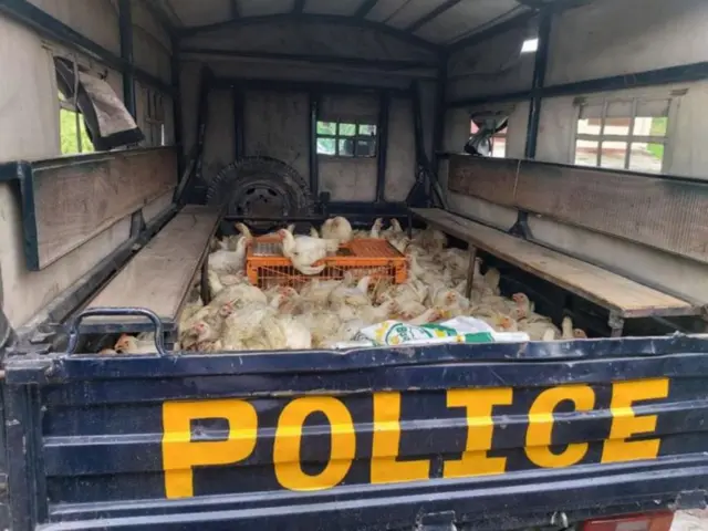 కోళ్ల అక్రమ రవాణా