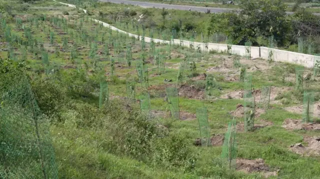 खेड-सिन्नर महामार्ग