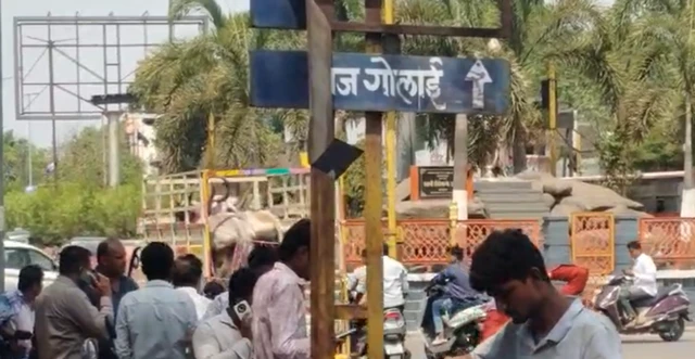 बैल गावी घेऊन जात असताना शेतकऱ्याची 'गोरक्षकां'कडून अडवणूक