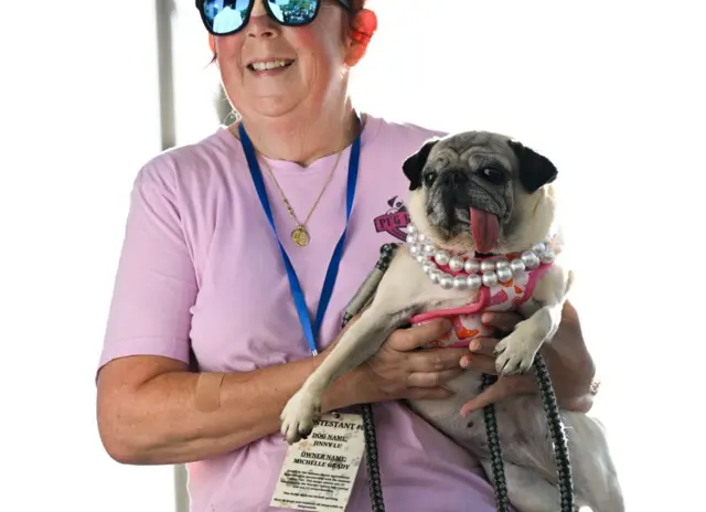 بیش از پنجاه سال است که این مسابقه هر سال در سونوما در کالیفرنیا برگزار می‌شود