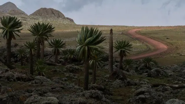 መልክዓ ምድሪ