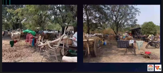 ပဇီကြီး ဝန်းကျင်က ရွာ ရှစ်ရွာလောက်က ဒေသခံ ထောင်ဂဏန်းအထိ တိမ်းရှောင်ကုန်ကြပြီ။