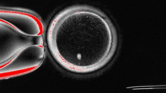 Atupalẹ ilana naa, nnkan dudu ati funfun kan han ninu aworan yii. O dudu laaarin. Ami funfun kan wa ninu rẹ, o duro sọwọ isalẹ bii igba ti aago mẹfa ba lu loju aago.