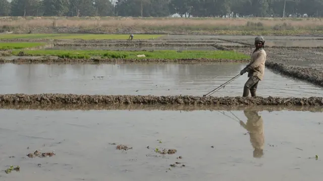 सुखदेव पुर