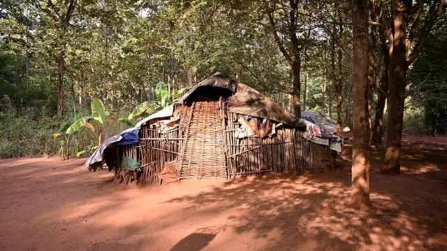 ஒருவருக்கு ஒன்று என மூன்று குடிசைகளும், கோழிகள் மற்றும் நாய்க்கு ஒரு குடிசையும், மழைக்காலத்தில் விறகுகள் நனையாமல் இருக்க ஒரு குடிசையும் அவர்கள் கட்டியுள்ளதாக லட்சுமி கூறினார். 