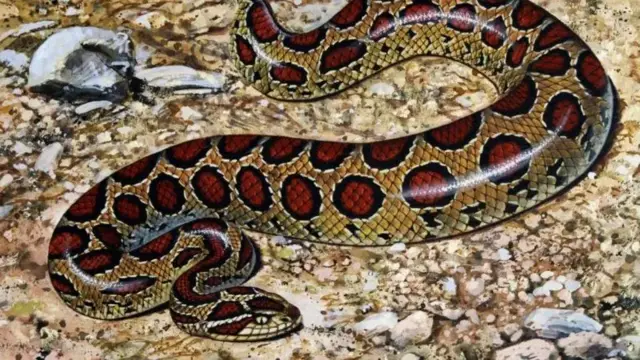 অন্য দেশ থেকে বিভিন্ন সময়ে ভারতে বন্যপ্রাণী নিয়ে আসার চেষ্টা হয়েছে