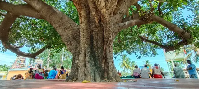 வாச்சாத்தி