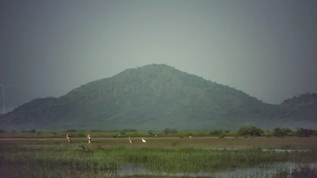 છારી ઢંઢ, રામસર સાઇટ, બીબીસી ગુજરાતી, કચ્છ, હેરિટેજ સ્થળ, ઐતિહાસિક સ્થળો, ગુજરાતનાં જાણીતાં સ્થળો, પર્યાવરણ