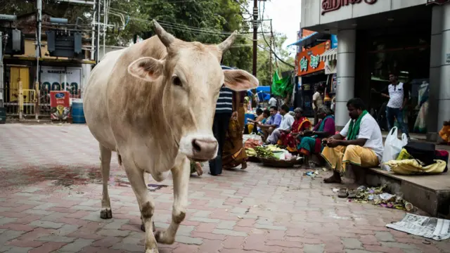 டாப் 5 நியூஸ்