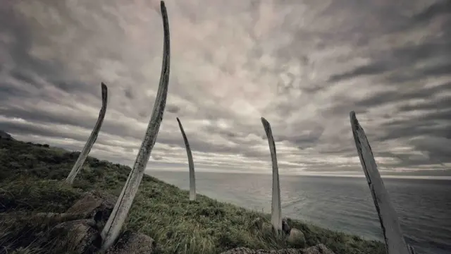 Des piquets sur u site près de la mer.