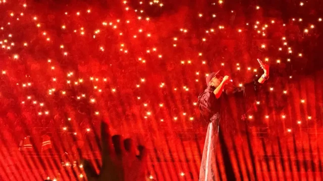 دہلی میں ہونے والے کنسرٹ میں دسیوں ہزار لوگوں نے شرکت کی