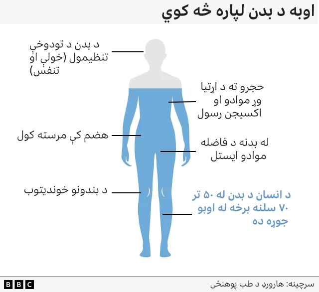 زموږ بدن تل د خولې، ميتازو او حتی د تنفس له لارې اوبه له لاسه ورکوي. د بدن د سم فعالیت لپاره دا له لاسه وتلې اوبه باید بېرته ترلاسه شي، دې ته د اوبو توازن ویل کېږي.