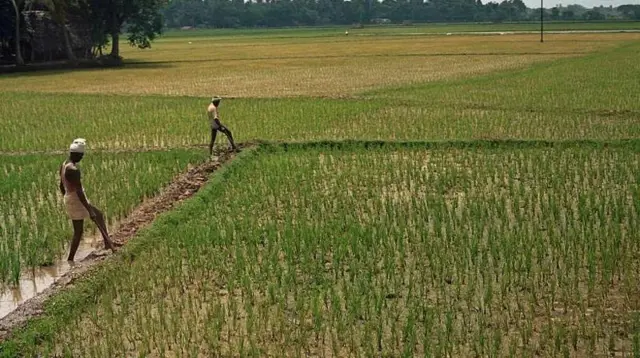 தமிழ்நாடு - காவிரி வடிநிலப் பகுதிகள் - மத்திய அரசு