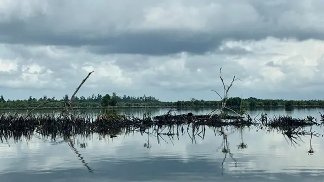 ..
